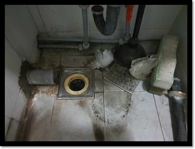 일산 일층 상가로 화장실 역류 막혔을때 맨홀 막힘 확인하고 뚫기 고양 인천