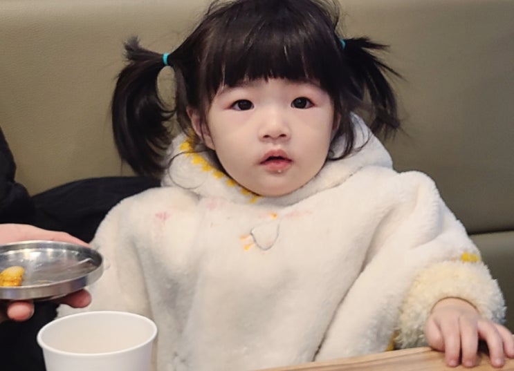  마산 댓거리 맛집 정코다리