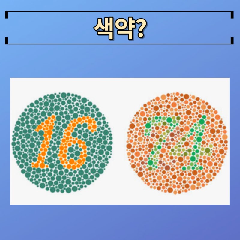 색약 색맹 유전 가능성과 차이점 알아봐요 : 네이버 블로그