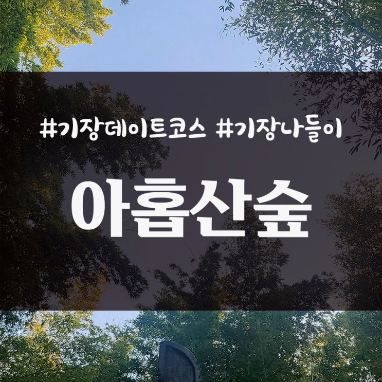  기장 산책하기 좋은 데이트 장소 아홉산 숲 _ 내돈내산