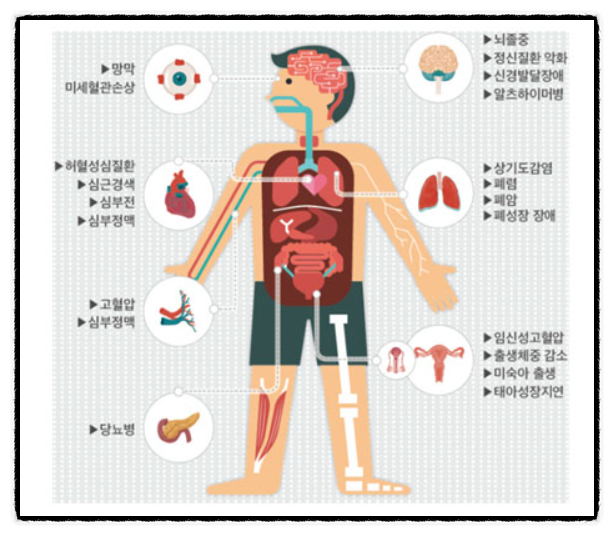 미세먼지 비상저감조치 뜻, 첫발령 왜?