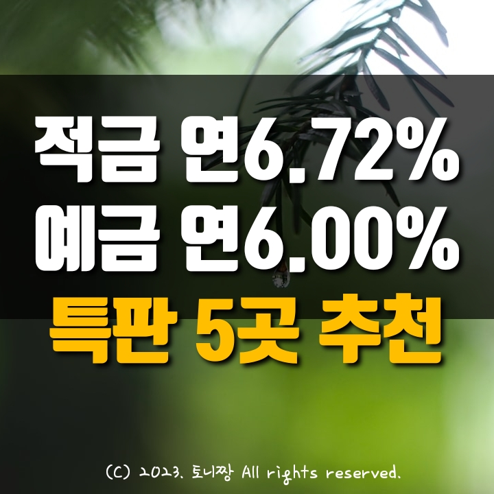 적금특판 3곳 연6.72%, 예금특판 연6.0%. 북구 대경새마을금고, 성일 이천 봉덕2동새마을금고