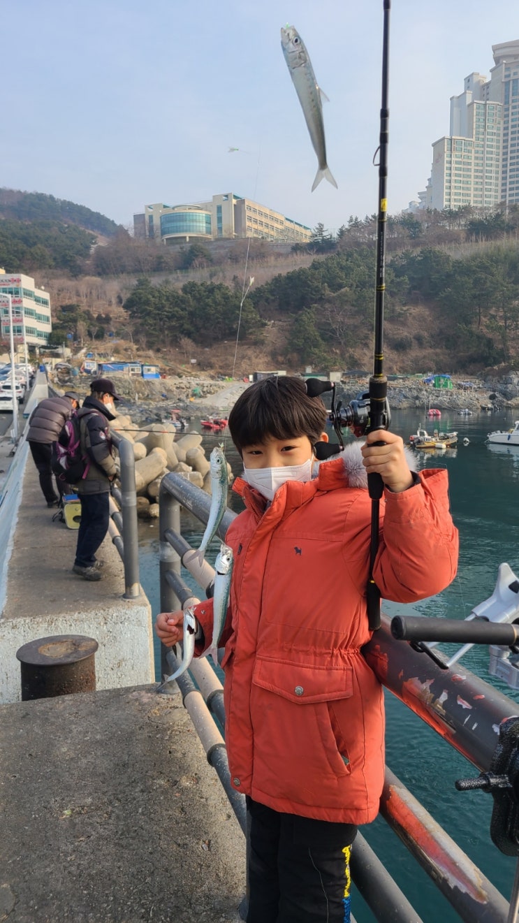  백운포 정어리 낚시
