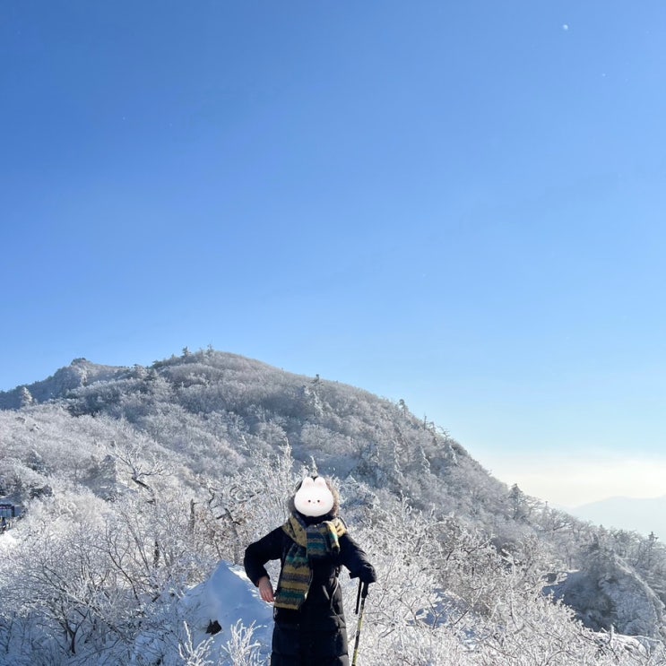  무주 덕유산 곤도라 케이블카 왕복 예약 탑승 방법 등산 후기