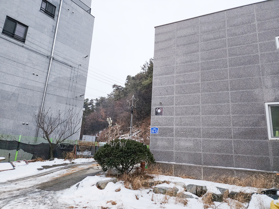 순한설기 사진 1