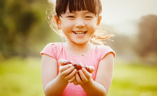 청소년활동배상책임보험 동양생명 꿈나무자녀사랑보험 흥국우리아이플러스보장보험 통해....