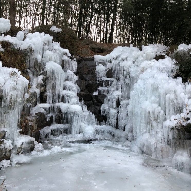  [울산가볼만한곳] 선암호수공원은 겨울왕국이예요