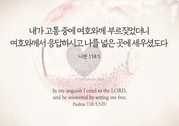  성경묵상 감사기도  자녀를 위한기도 예레미아21장에서30장까지