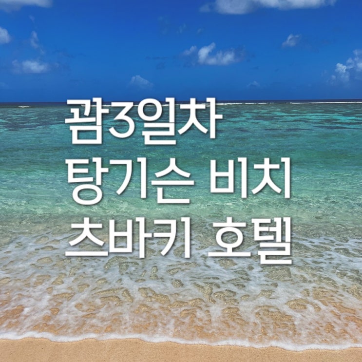  자영업 때려치고 괌으로 떠난 후기 3편ㅣ탕기슨비치, 츠바키호텔