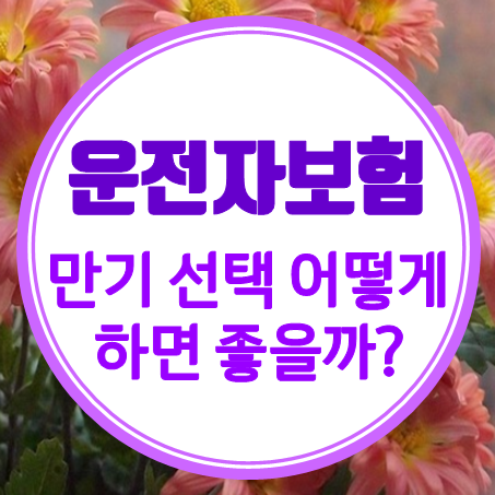  운전자보험 만기 어떻게 기간을 정하면 좋을지 알려드릴게요.
