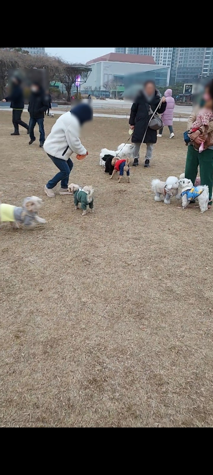  부천 강아지 산책하기 좋은 중앙공원 애견카페가 따로 없네