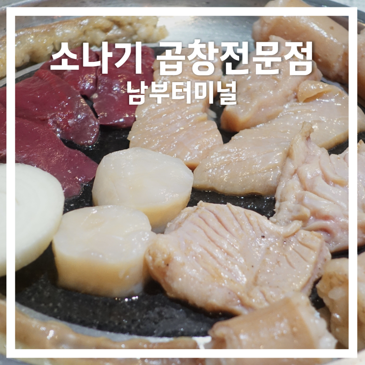  남부터미널/서초: 곱창전문점 소나기