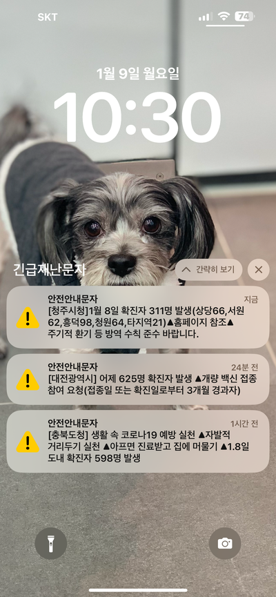  재난문자 알림 끄기 켜기 방법 , 아이폰 갤럭시 따라하기