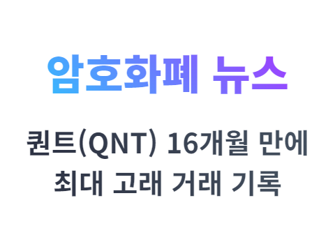 퀀트 QNT 코인, 16개월 만에 최대 고래 거래 금액 기록