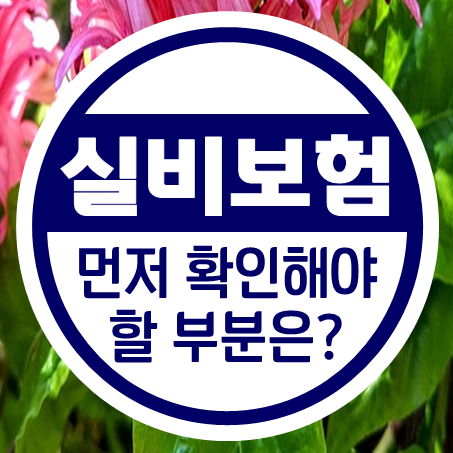  착한실비보험 가격보다 먼저 확인하세요.