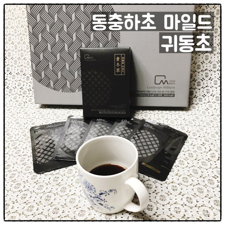 동충하초효능 귀동초 귀리먹은 동충하초 마일드 섭취후기