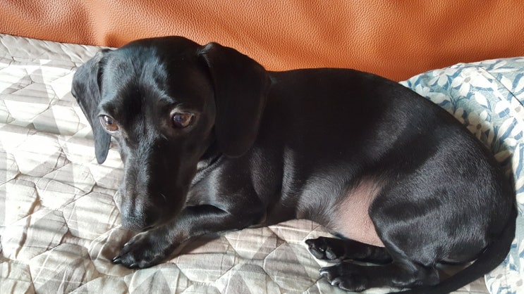  귀염둥이 바다 하늘이~
