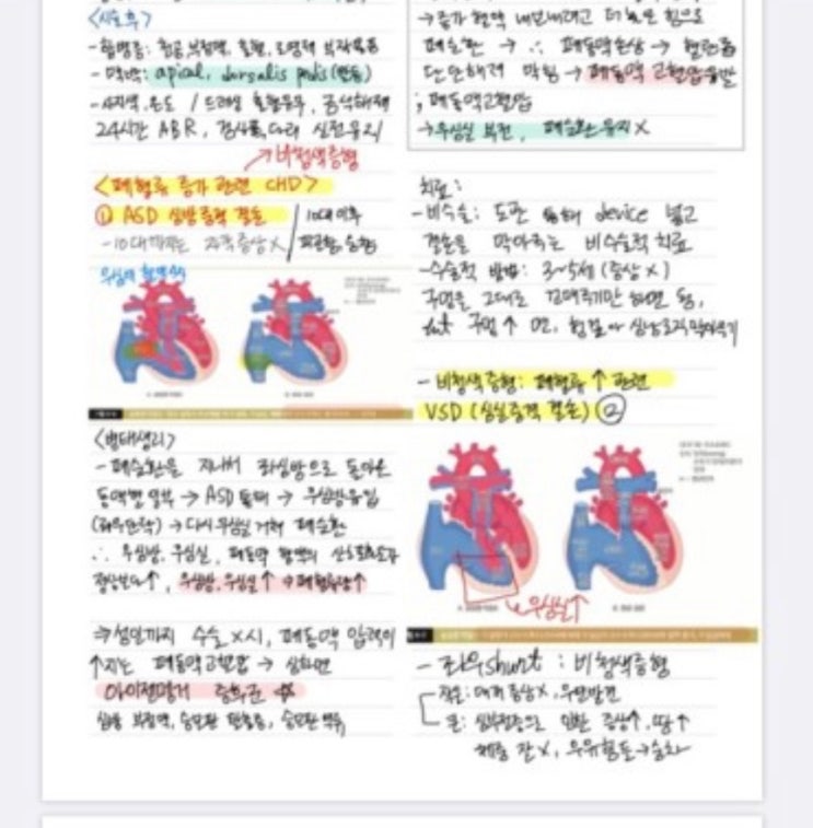  [Q&A] 간호학과 아이패드 대학생용 추천 (에어5 Vs 프로, 용량 64 Vs 128GB, 매직키보드 등 전공 공부 고려)