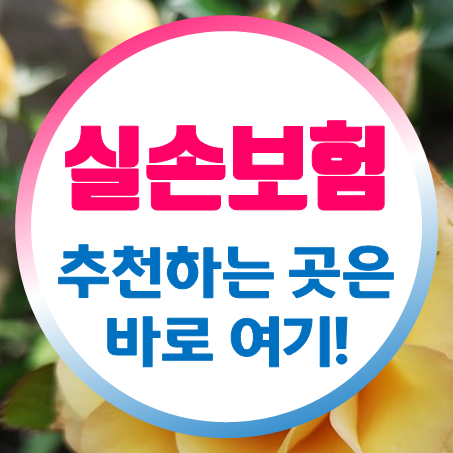  아기실손보험 제가 추천하는 곳은 바로 여깁니다!