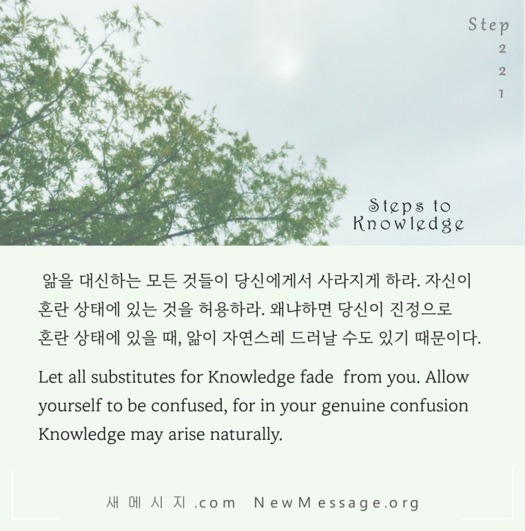 제 221 계단: 나는 오늘 자유롭게 혼란 상태에 있을 수 있다 I am free to be confused today. 제 221 계단: 나는 오늘 자유롭게 혼란 상태에 있을 수 있다 I am free to be confused today.