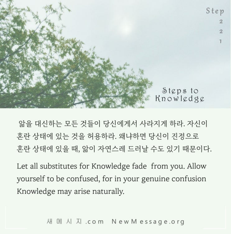 제 221 계단: 나는 오늘 자유롭게 혼란 상태에 있을 수 있다 I am free to be confused today.