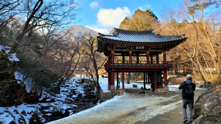  조계산 등산(선암사코스)