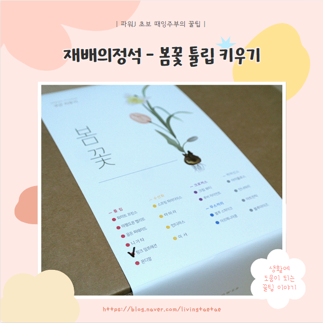  [식물] 봄을 기다리며 봄꽃 튤립 구근 심기 - 플랜테리어를 꿈꾸며...