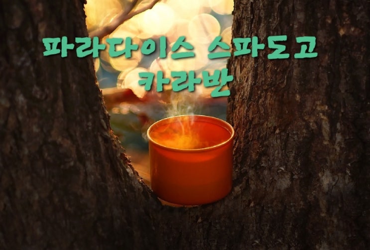  파라다이스 스파 도고 카라반 충남 아산으로 떠나는 낭만여행