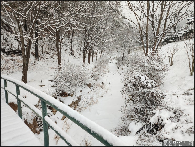 홍천 남산 겨울 산행 설경 함께 즐기기