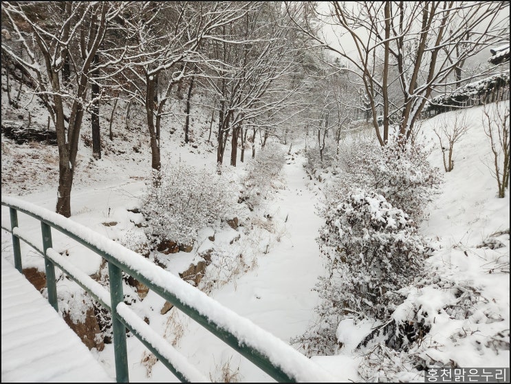  홍천 남산 겨울 산행 설경 함께 즐기기