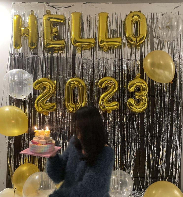  ️2023년 기록 시작️