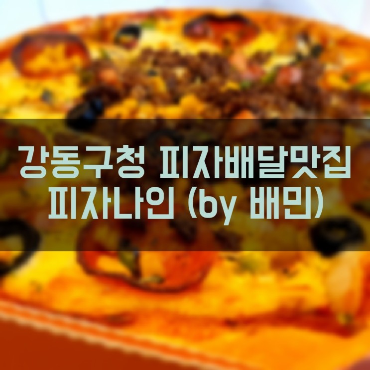 성내동 강동구청 피자 배달맛집 피자나인 (배달의민족 주문)