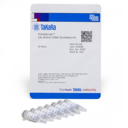 [제품] (TAKARA) [6110A] PrimeScript 1st strand cDNA Synthesis Kit