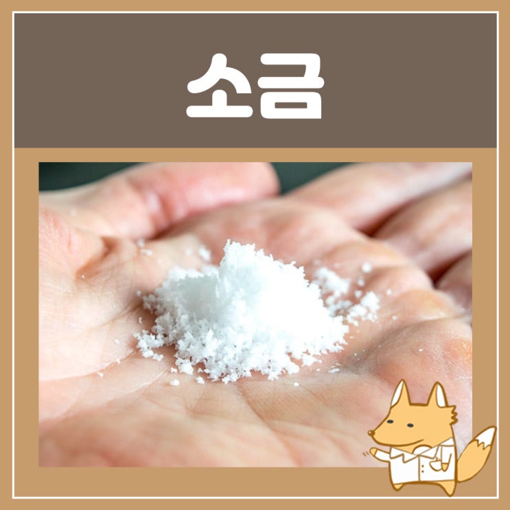  용융소금 자죽염 죽염 효능 가글