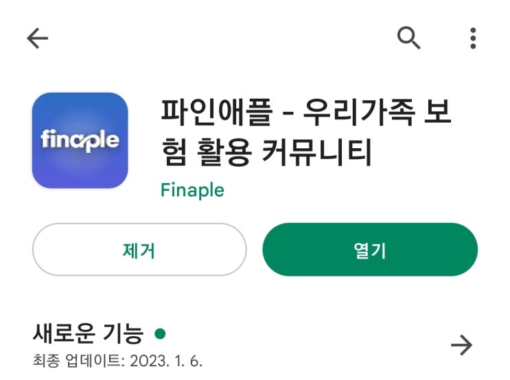  SNS 보험챗봇으로 쉽고 편한 보험상담「파인애플」