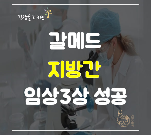  갈메드 NASH 지방간 치료제 아람콜(Aramchol) 임상3상 결과도출 한약 먹으면 간수치가 높아진다고? 간 해독 반응, 삼일제약
