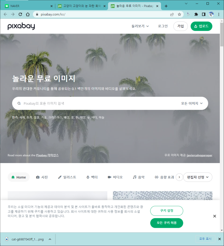  무료이미지 꿀팁이다냥