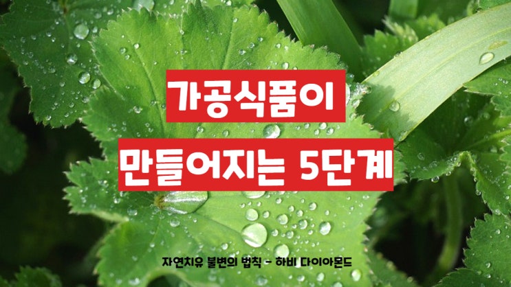 하비 다이아몬드가 말하는 산 음식과 죽은 음식이란?