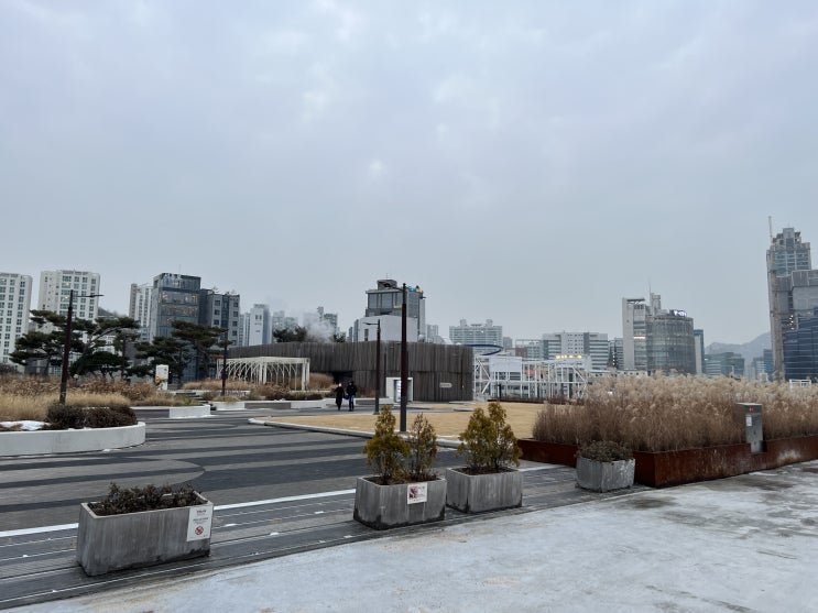  서울역에 옥상정원 가보셨나요? 특히 저녁에 산책하기 참 좋은 곳이에요!