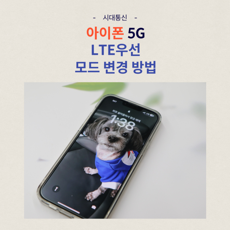  아이폰 5G LTE 변경 우선 모드 설정 방법