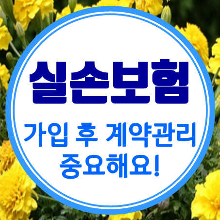  인터넷실손보험 비교도 쉽지만 관리도 잘해줘요!