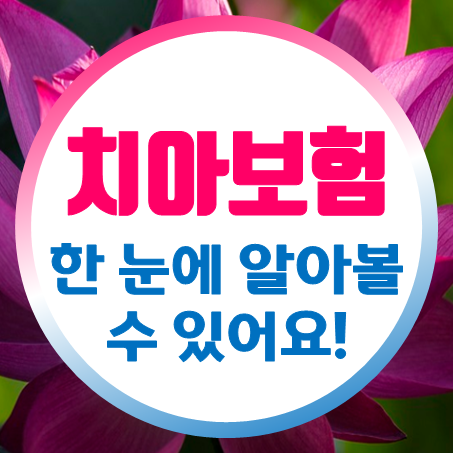  치아보험보장 한눈에 알아볼 수 있어서 좋아요!