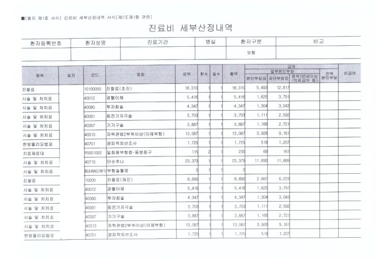 한의원 진료비 세부산정내역의 경혈이체? 투자침술? 이체부항?