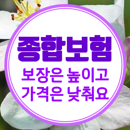  어린이종합보험 보장은 높이고 가격은 낮춰요!