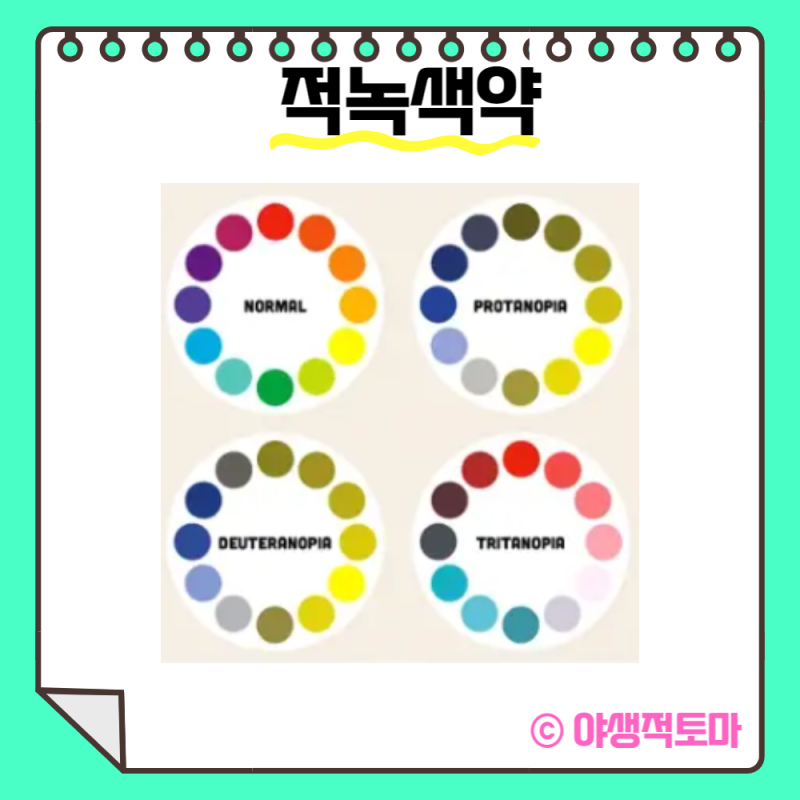 색맹 : 색약, 적녹색약, 색약유전 (Feat. 더 글로리) : 네이버 블로그