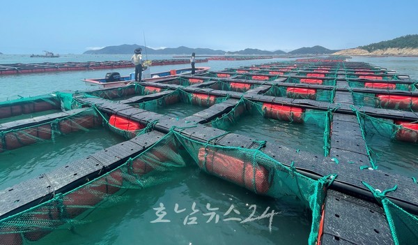  전남해양수산과학원, 1월 16일부터 공수산질병관리사 18명 모집