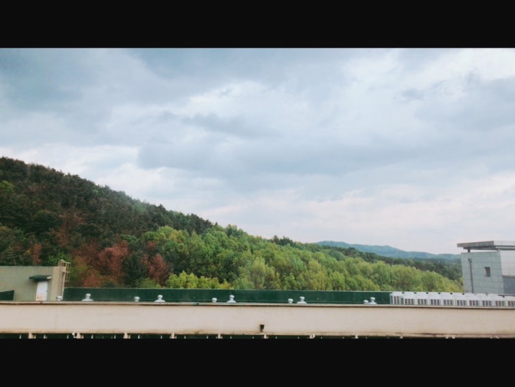  새로운 길 - 윤동주 / 명시