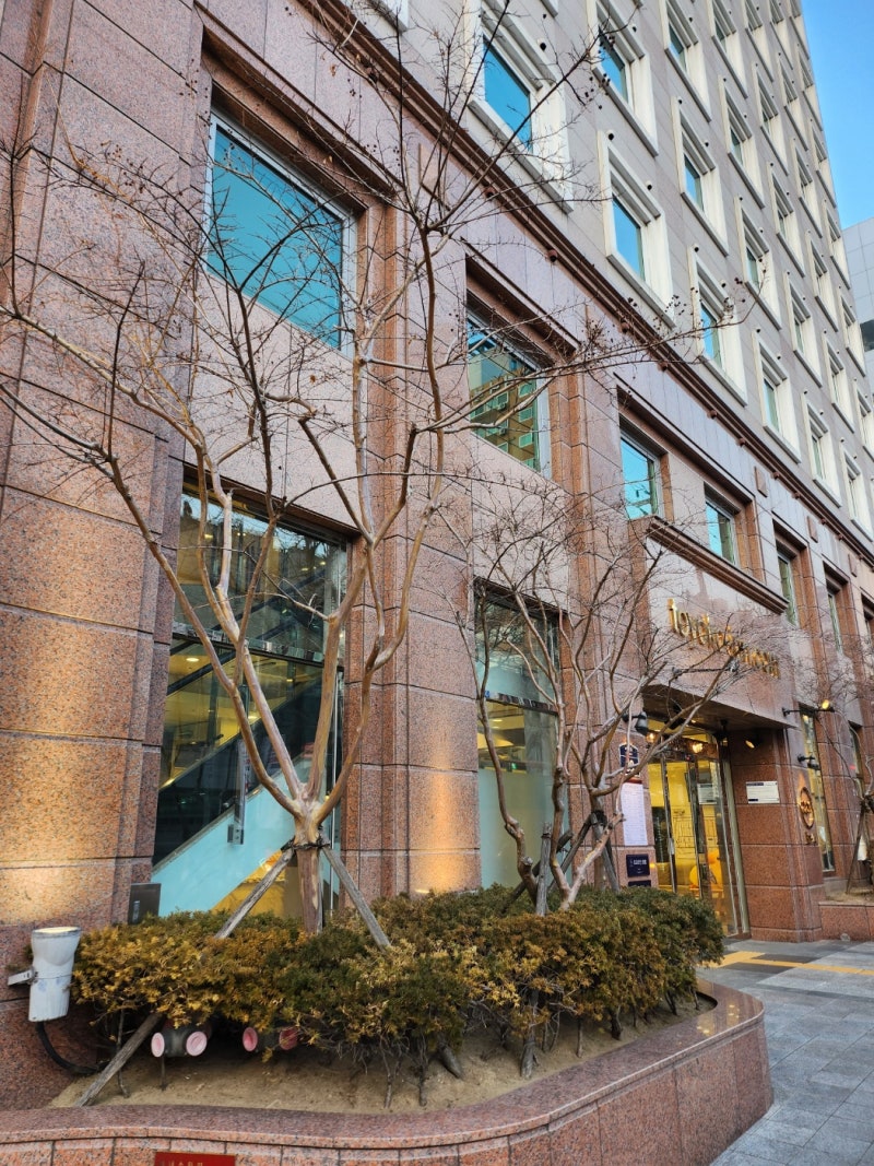 부산여행 숙소 가성비좋은 호텔 추천 토요코인 부산서면 : 네이버 블로그