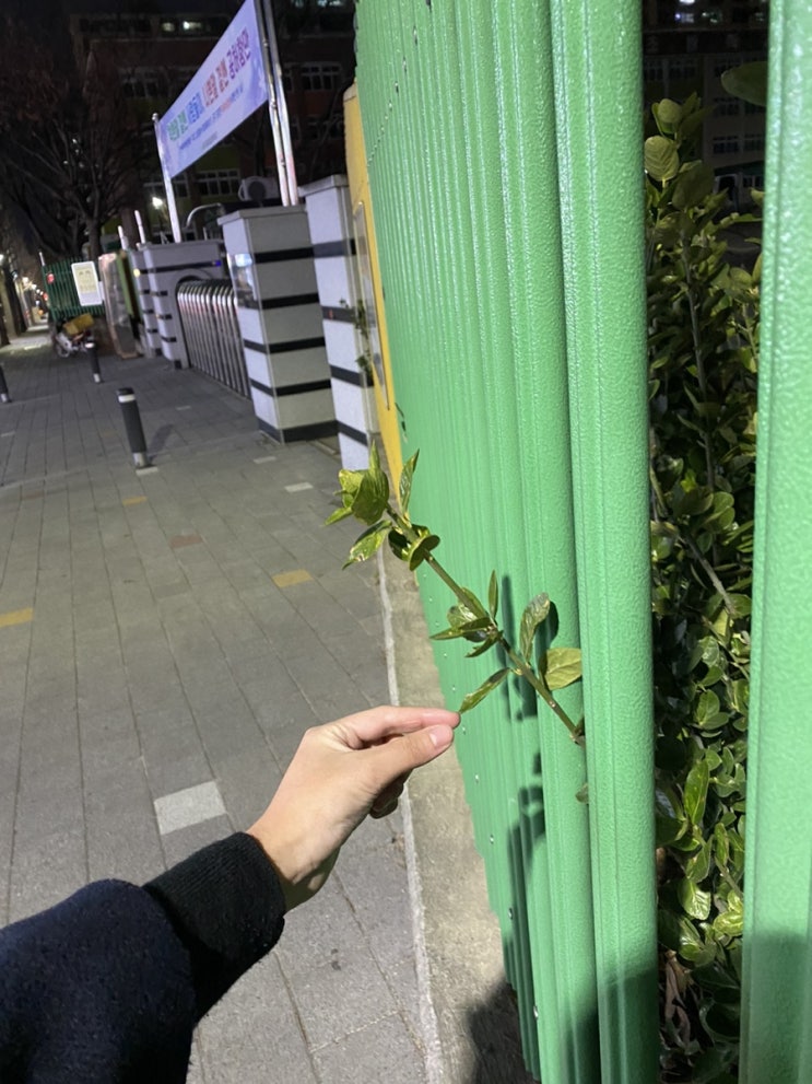  이이년 12월의 일부분