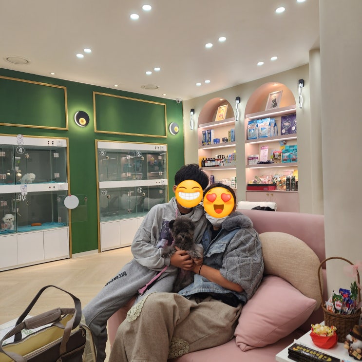  달링하이울산점에서 분양완료된 강아지 실버푸들 그리의 건강과 행복을 응원합니다.